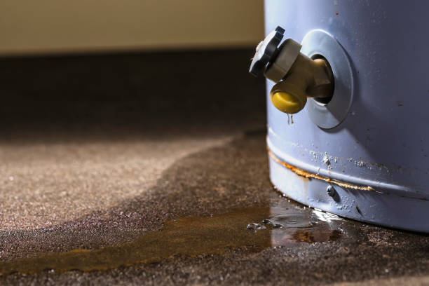 Best 24/7 water damage repair  in Beechwood Village, KY