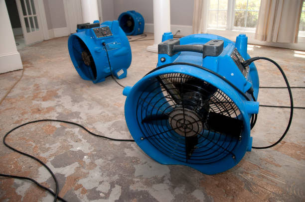 Best Flood restoration services  in Beechwood Village, KY