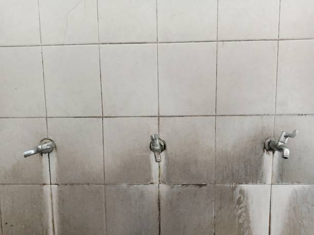 Best Professional water damage repair  in Beechwood Village, KY